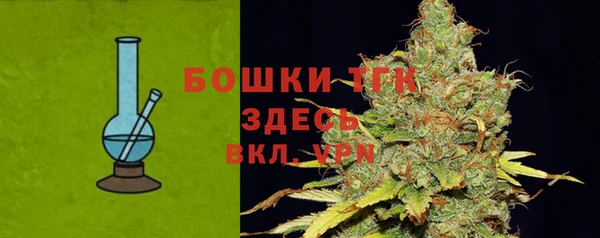 хмурый Заводоуковск