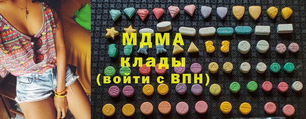 сатива Ельня