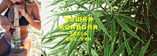 СК Заволжск