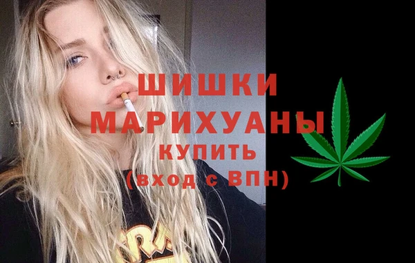 хмурый Заводоуковск
